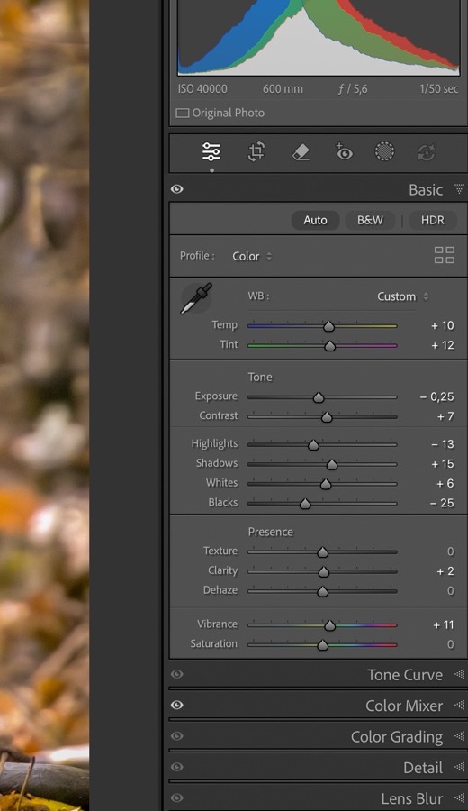 Lightroom Classic adjustment panel